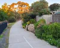 Pathway towards the light