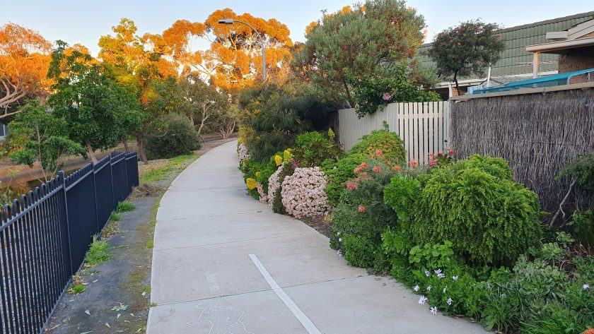 Pathway towards the light