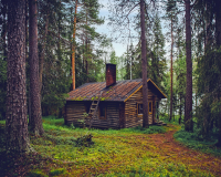 Cabin in clearing in forest with tall trees