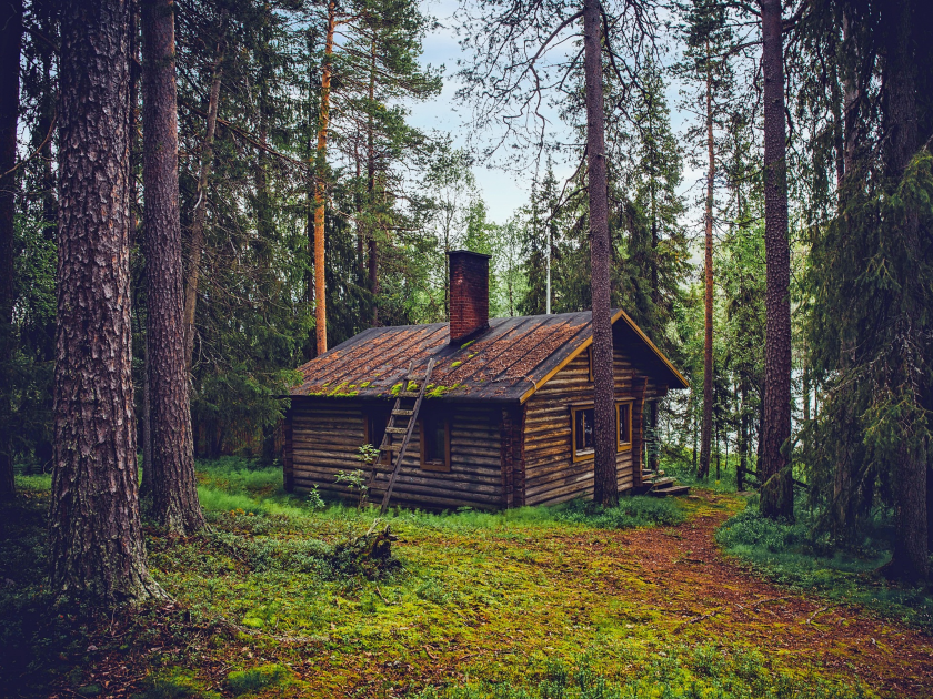 Cabin in clearing in forest with tall trees