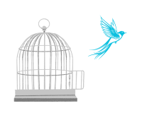 Drawing a bird escaping a cage.