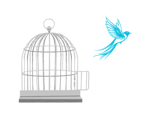 Drawing a bird escaping a cage.