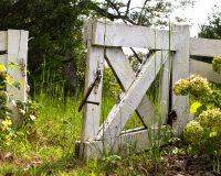 Open white farm gate in grassy field.