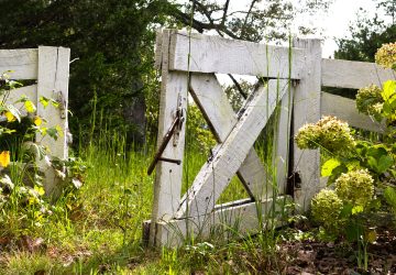 Open white farm gate in grassy field.
