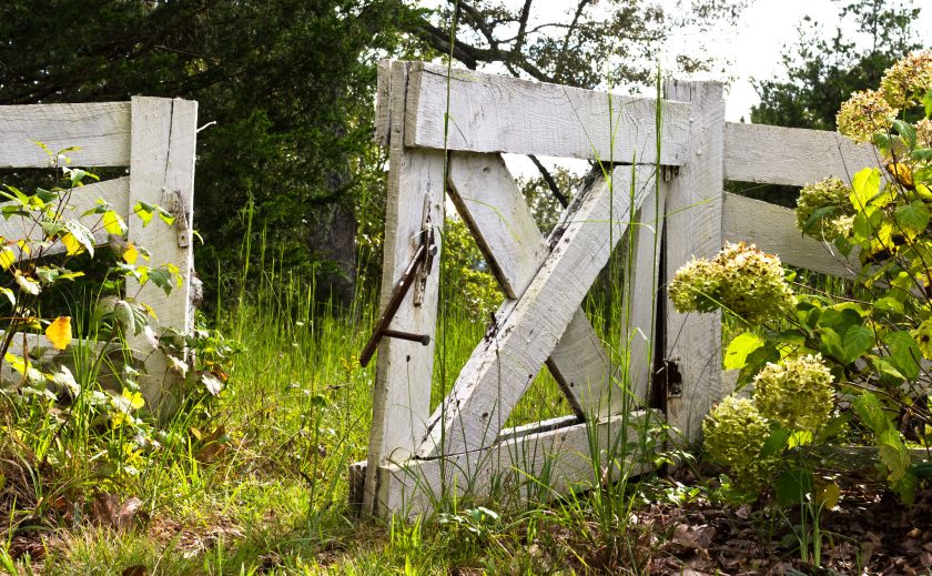 Open white farm gate in grassy field.